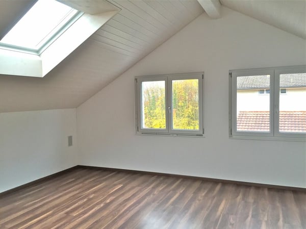 Grosszügige Wohn- und Gewerbeliegenschaft mit Werkstatt, Galerie und Parkplätzen 5