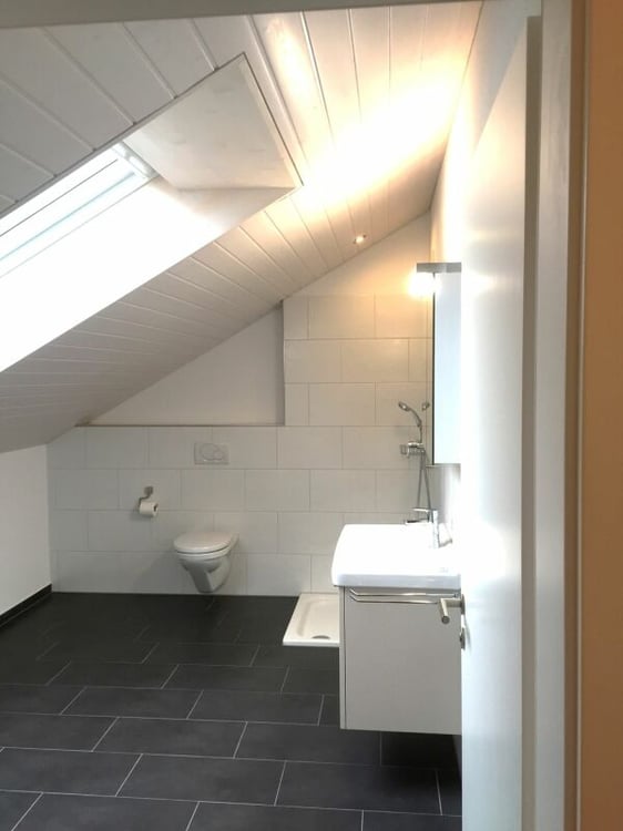 Grosszügige Wohn- und Gewerbeliegenschaft mit Werkstatt, Galerie und Parkplätzen 6