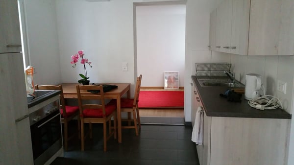 Möbilierte und helle 1.5 Zimmerwohnung im Zentrum von Walzenhausen 2