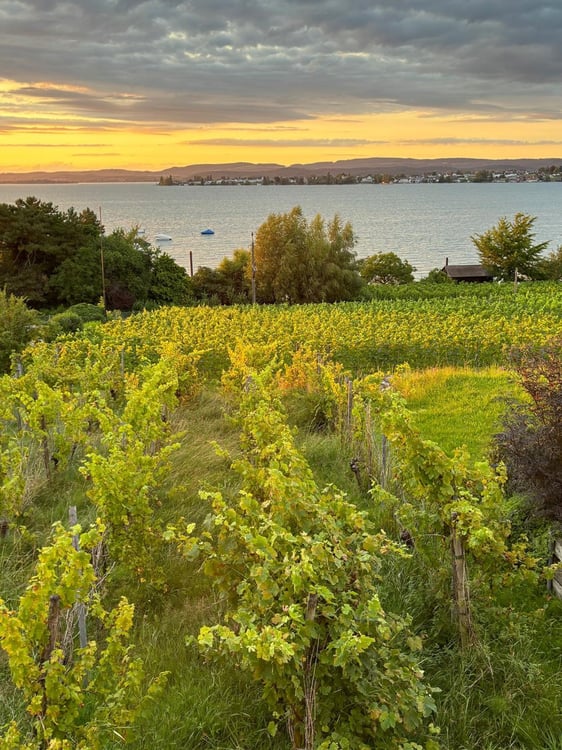 Einzigartiges Grundstück an ruhiger und sonniger Lage 7