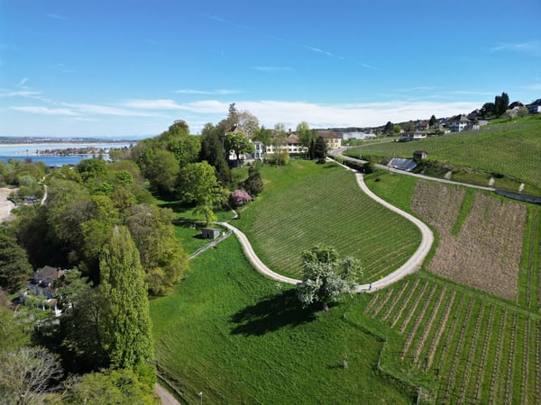 Einzigartiges Grundstück an ruhiger und sonniger Lage 5