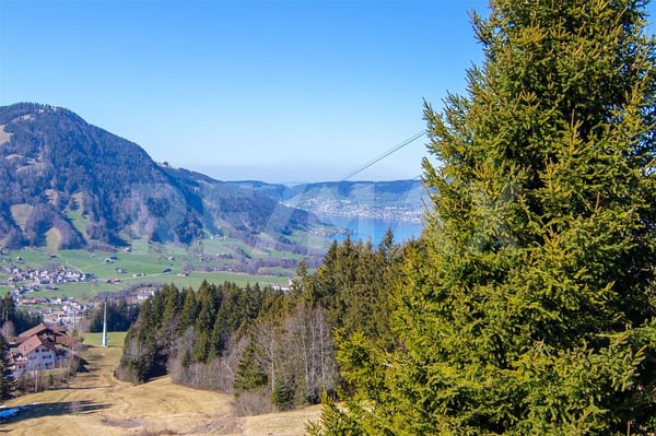 Freistehendes 1.5-Zi.-Chalet mit Seesicht, Grosses Grundstück 912 m², Sattel - Hochstuckli SZ 4