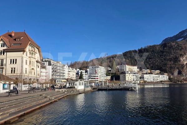 Exklusive 3.5-Zi.-Wohnung, am Vierwaldstättersee - Erstvermietung nach Komplettumbau, Brunnen SZ 8