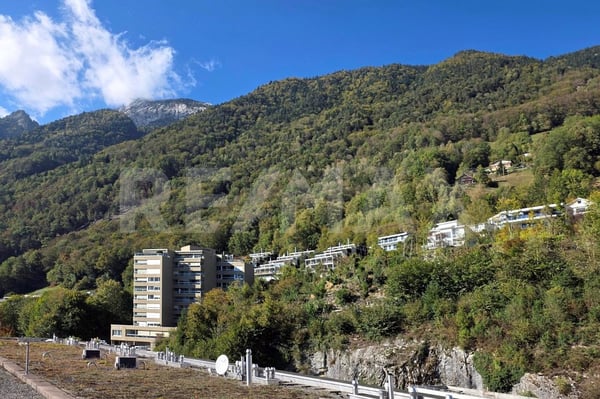 Neubau-TOP-3.5-Zi.-Attika-Wohnung, zur Miete, direkt am See, in 6440 Brunnen SZ 5
