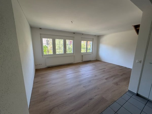 Charmantes Reiheneinfamilienhaus nähe Schaffhauserplatz 6