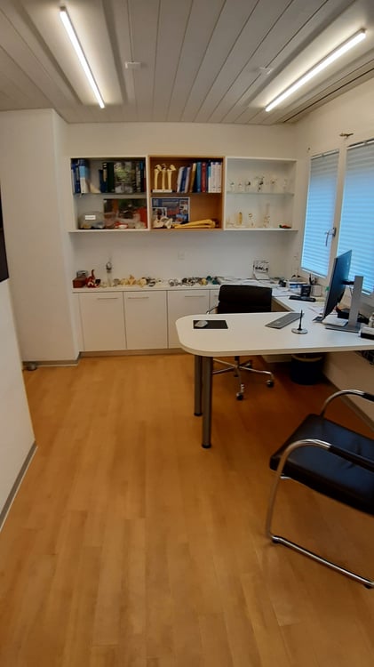Gewerbe im EG zu vermieten 11