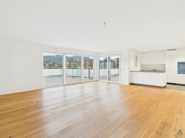 Moderne Attika mit grosser Terrasse und Ausblick 4