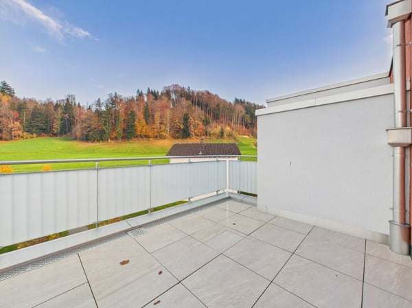 Moderne Attika mit grosser Terrasse und Ausblick 17
