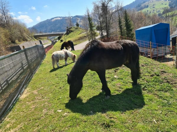 Ebnat-Kappel