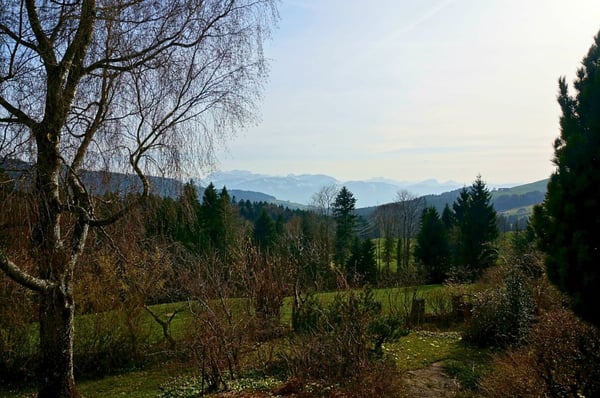 2-Familienhaus mit grosser Gartenanlage und Wiesland 3