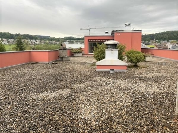einzigartige Attikawohnung in Zuzwil 2