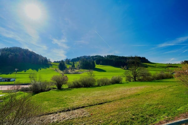 heimelige Dachwohnung mitten in Gähwil