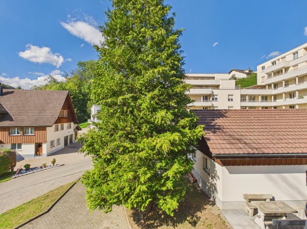 Familienparadies in Lichtensteig - Einfamilienhaus mit viel Platz, Garten und Doppelgarage 15