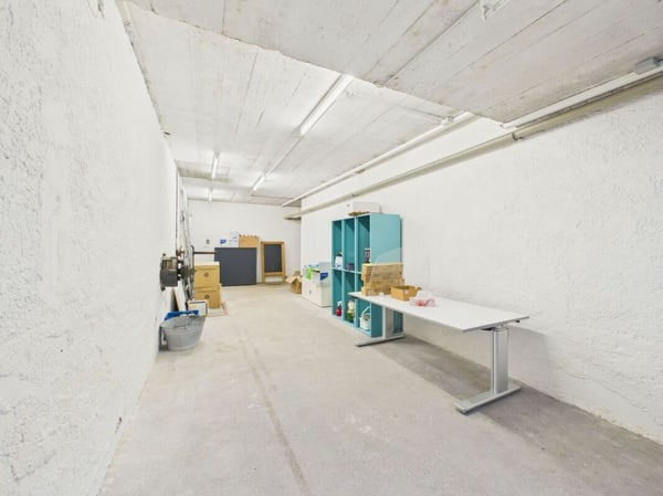 Grosszügiges Loft mit Wohn- und Gewerbenutzung im Herzen von Wil 14