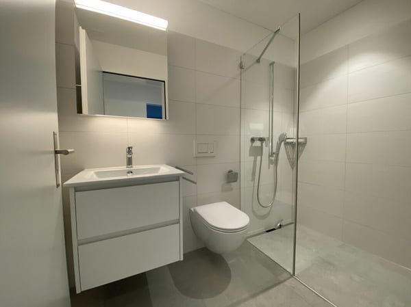 Lichtdurchflutete 4.5-Zimmerwohnung in der Überbauung «Neualtwil» 5