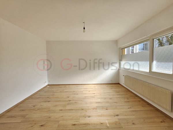 Magnifique appartement de rendement rénové 3