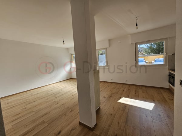 Magnifique appartement de rendement rénové 4