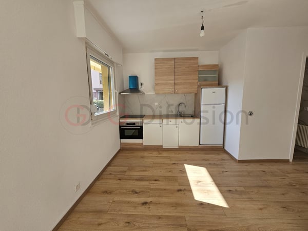 Magnifique appartement de rendement rénové 1