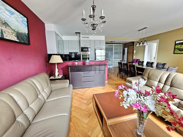 Splendide appartement avec vue panoramique imprenable sur le lac Léman et les montagnes 6