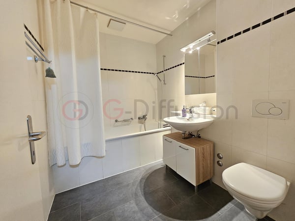 Splendide appartement avec vue panoramique imprenable sur le lac Léman et les montagnes 11