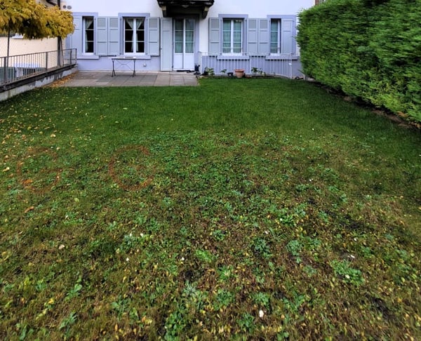 Splendide appartement avec vue panoramique imprenable sur le lac Léman et les montagnes 12