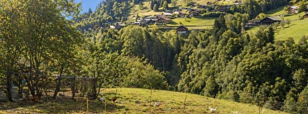 À vendre ? Chalet à rénover avec fort potentiel de développement à Troistorrents | CHF 390'000.? 4