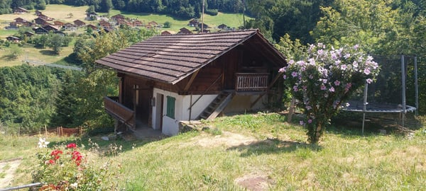 Magnifique chalet à rénover à vendre ? Troistorrents 2
