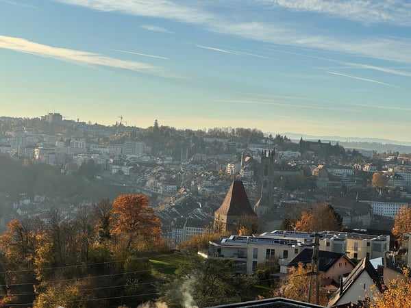 Appartement au dernier étage de 1.5 pièces à Fribourg avec vue dégagée 11