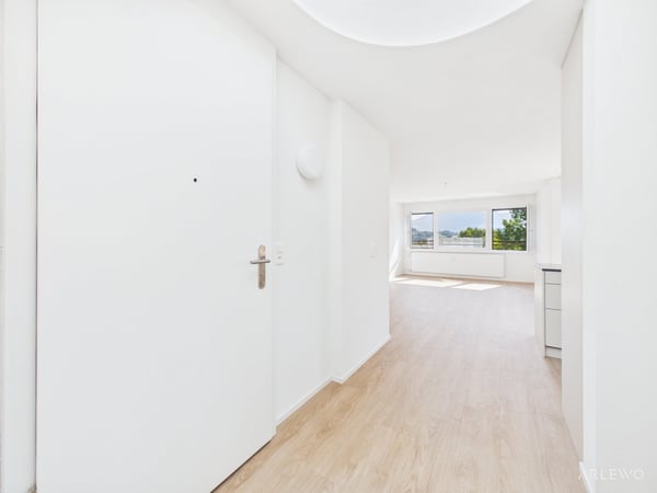 Aussichtsreiche Attikawohnung mit tollen Terrassen 11