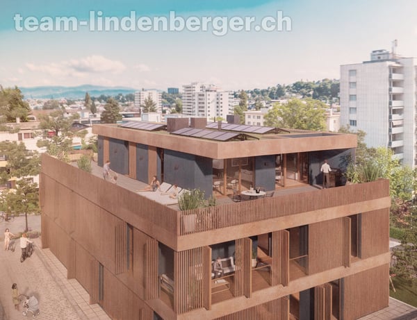 4½ Zi.-Attikawohnung in Binningen - Letzte Wohnung!
