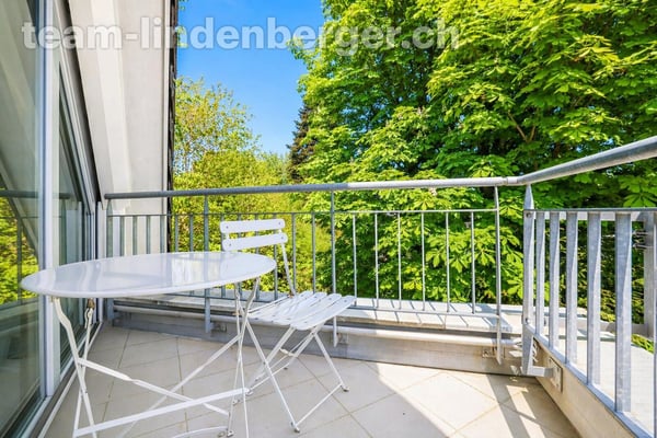 6½ Zi.-Wohntraum mit Pool in Binningen 12