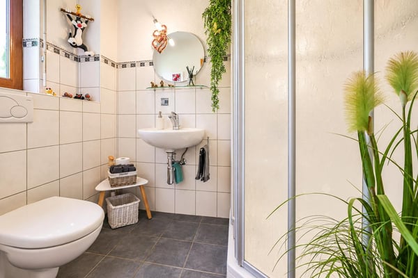 Freistehendes 5½ Zi.-Einfamilienhaus mit Garten in Metzerlen 12