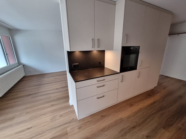 Modern renovierte 1.5-Zimmer-Wohnung direkt beim Bahnhof 2