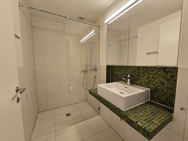 4.5-Zimmer-Reiheneinfamilienhaus im beliebtem Neugrüen-Quartier 4