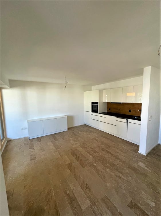 Attraktive Singlewohnung in der Nähe des Stadtspitals Triemli 2