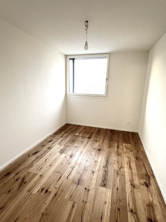 Erstvermietung: Neubau-Einfamilienhaus in Kollbrunn 6