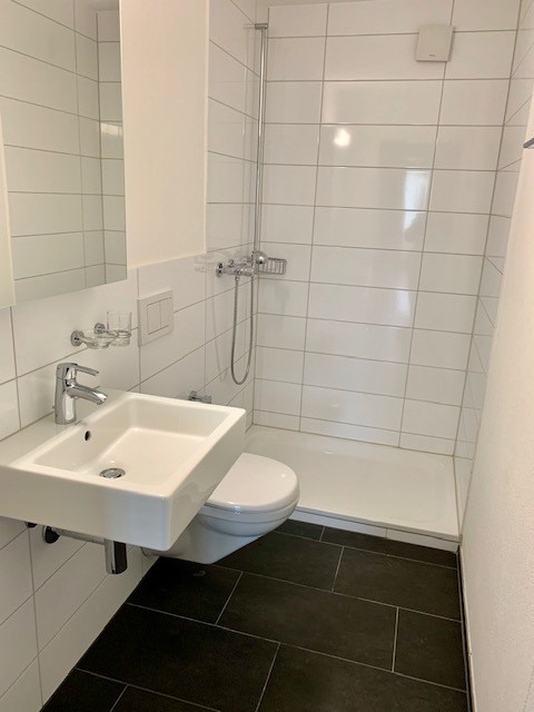 Grosszügige 6.5 Zimmer-Wohnung in Winterthur-Seen 5
