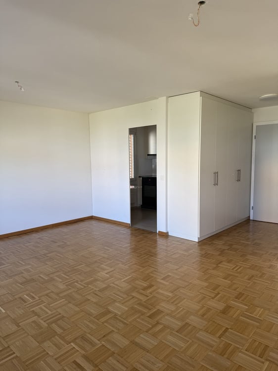 Langwiesen