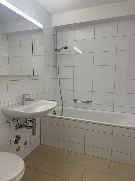 gemütliche 3.5-Zimmerwohnung in Langwiesen 4