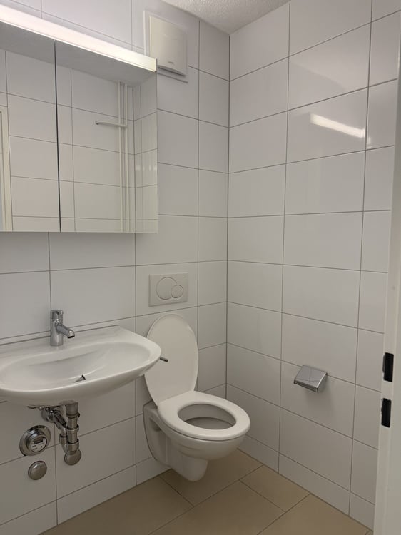Attraktive 2.0-Zimmerwohnung mit Balkon in Langwiesen 4