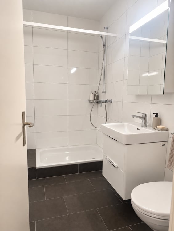 Charmante 2.5-Zimmer-Dachwohnung an zentraler Lage 4