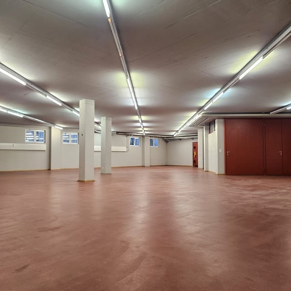 Grosszügige Lagerfläche zu vermieten 4