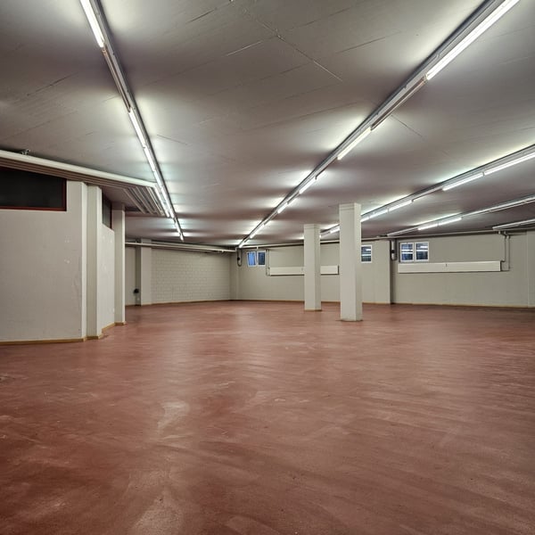 Grosszügige Lagerfläche zu vermieten 2