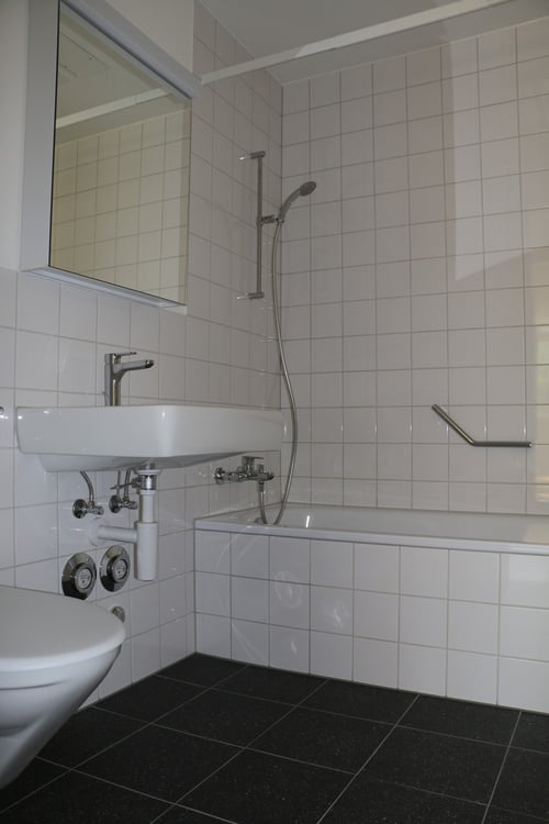 3.5-Zimmer-Wohnung - Wallrütistrasse 119a, 8404 Winterthur 10