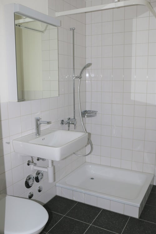 3.5-Zimmer-Wohnung - Wallrütistrasse 119a, 8404 Winterthur 9