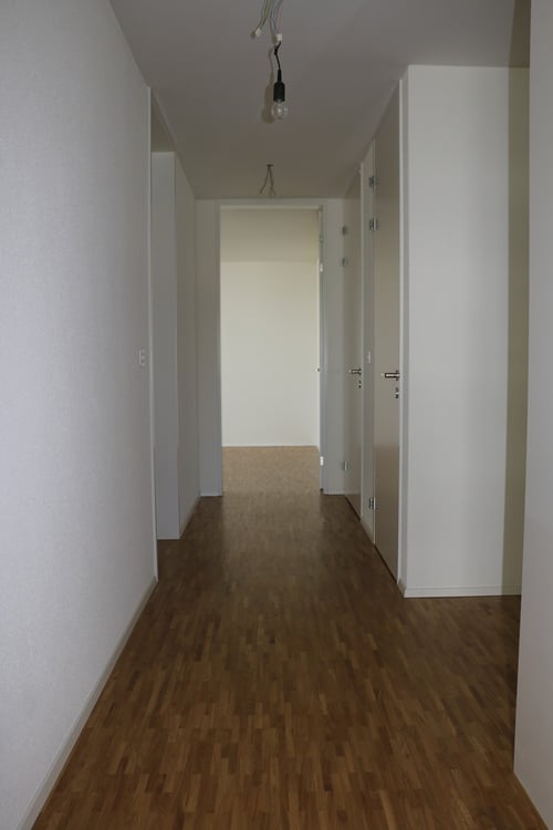 3.5-Zimmer-Wohnung - Wallrütistrasse 119a, 8404 Winterthur 5