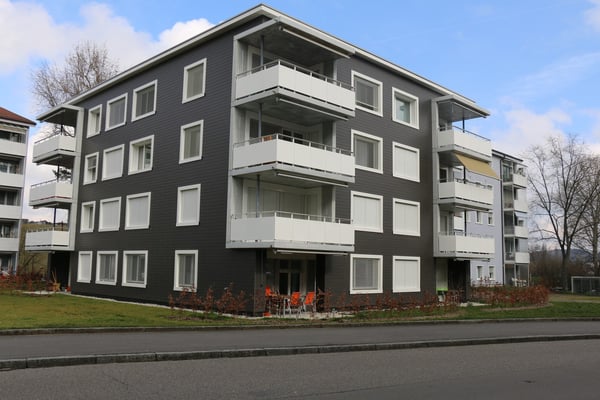 3.5-Zimmer-Wohnung - Wallrütistrasse 119a, 8404 Winterthur 1