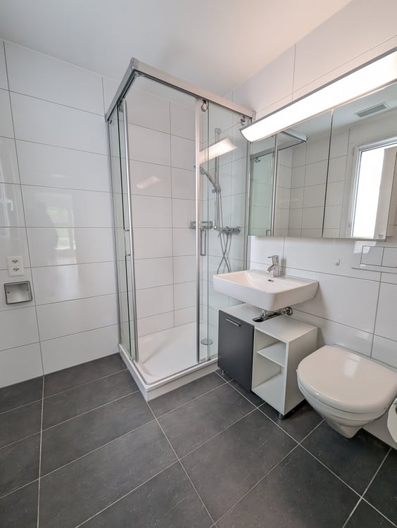 Modernes 5.5-Zimmer-Einfamilienhaus mit Minergie-Standard in Arisdorf 8