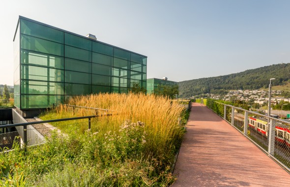 Green glass building, walkway, grass, metal railing, train on track
