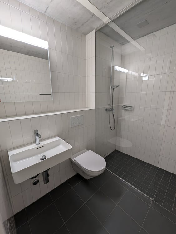Moderne 1-ZWG (1H) an der St. Jakob-Str. 110 in Muttenz 6